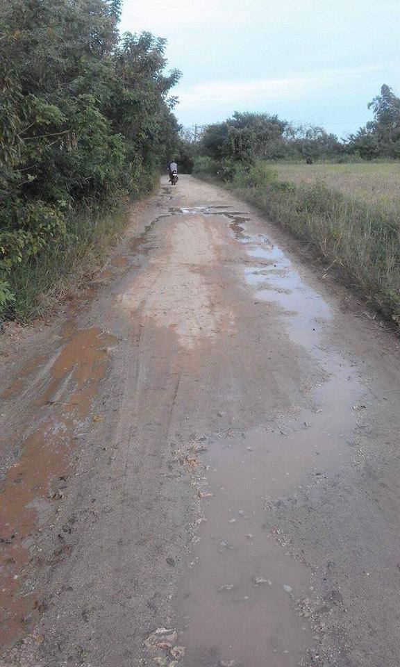 10 Hectares TITLED Farm (Overlooking sa Dagat)