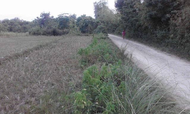 10 Hectares TITLED Farm (Overlooking sa Dagat)