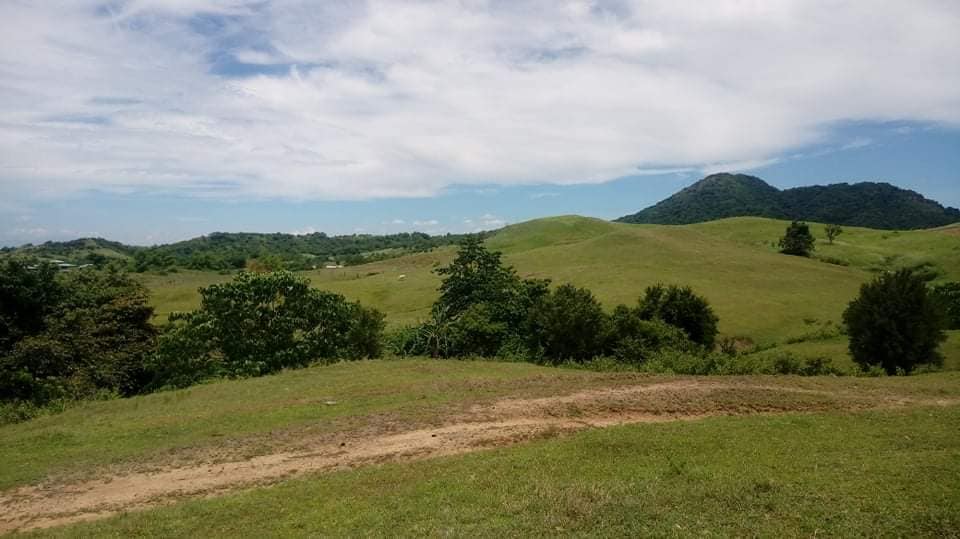 28.2 Hectares Piggery Farm Lot for Talugtug Nueva