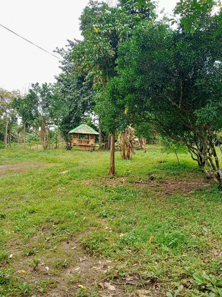 3 Years Installment Residential Lot