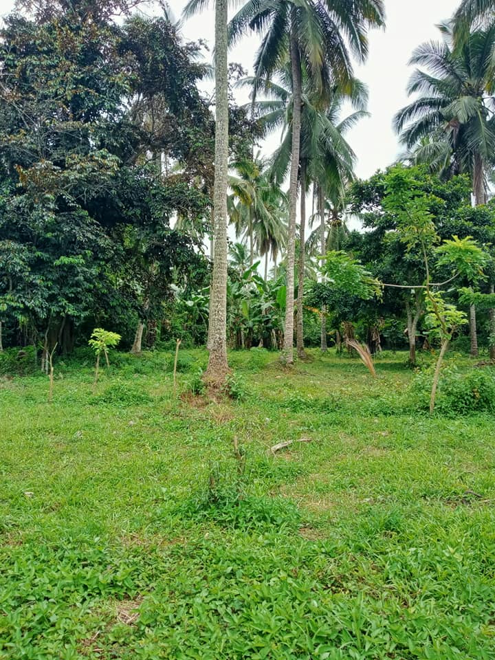 3 Years Installment Residential Lot