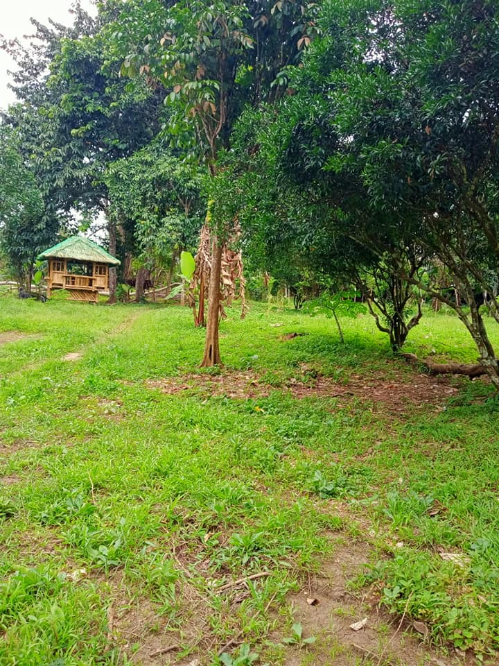 3 Years Installment Residential Lot