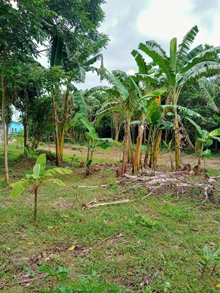 3 Years Installment Residential Lot