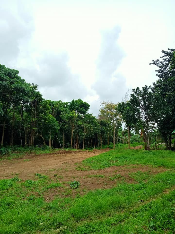 3 Years Installment Residential Lot