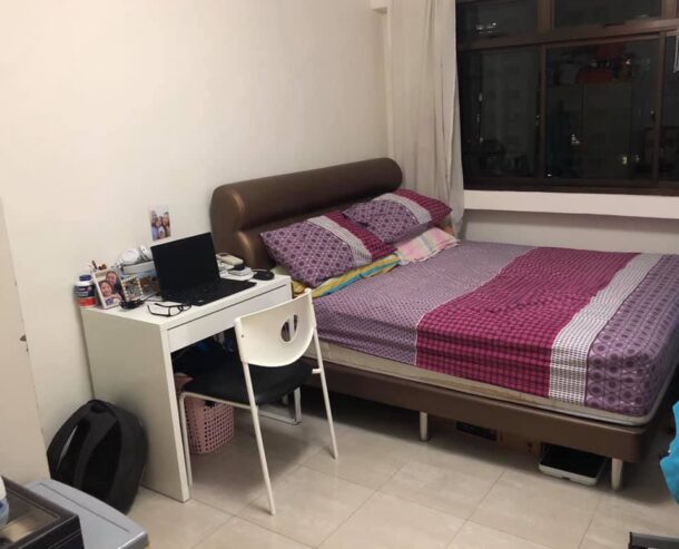 Looking for 1 tenant (male or female)