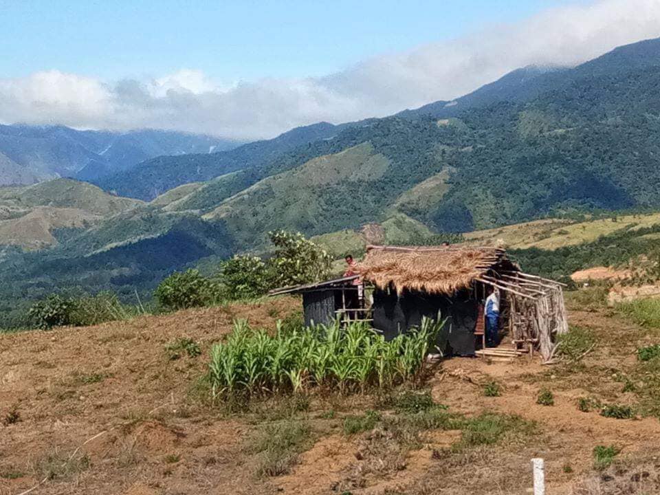 Agricultural Land 16,000 SQM