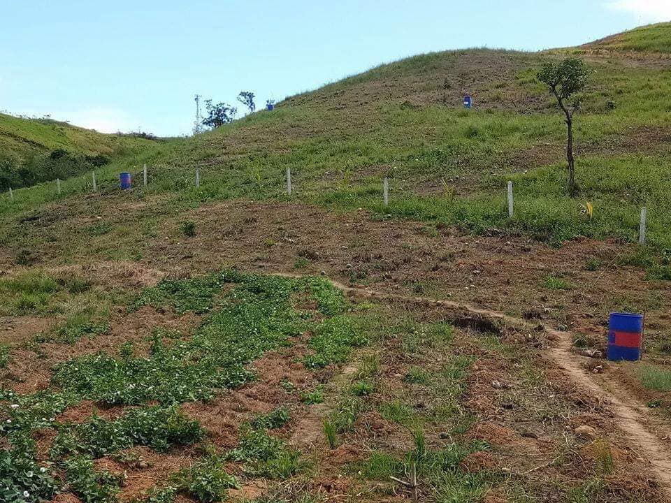 Agricultural Land 16,000 SQM