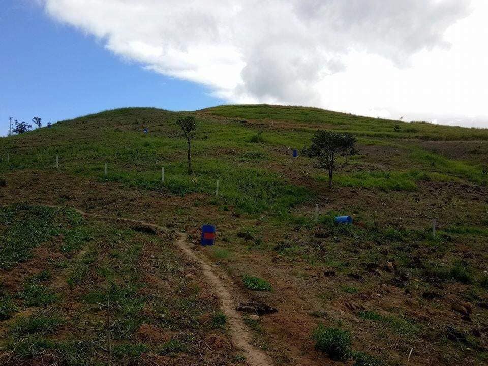 Agricultural Land 16,000 SQM