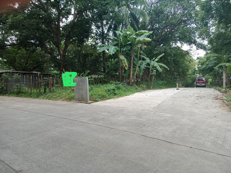 Farm Corner Lot for Sale