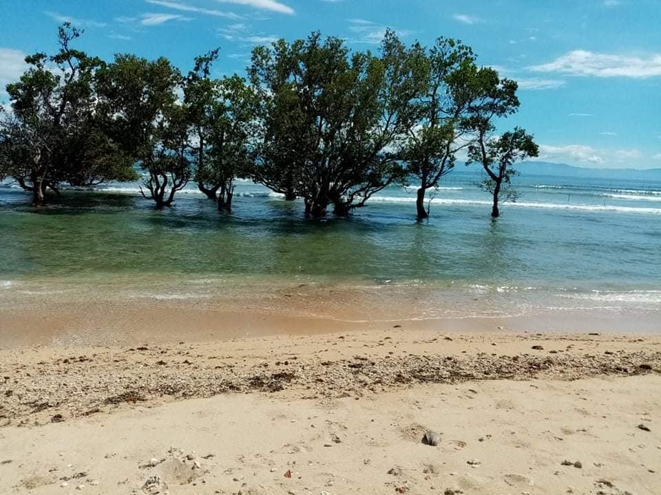 Farm lot for sale 3478 SQM