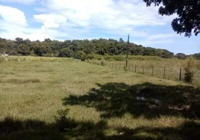 Farm-lot-for-sale-3478-SQM23