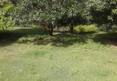 Lot-for-sale-3.5-hectare-clean-title.-Along-the-road3