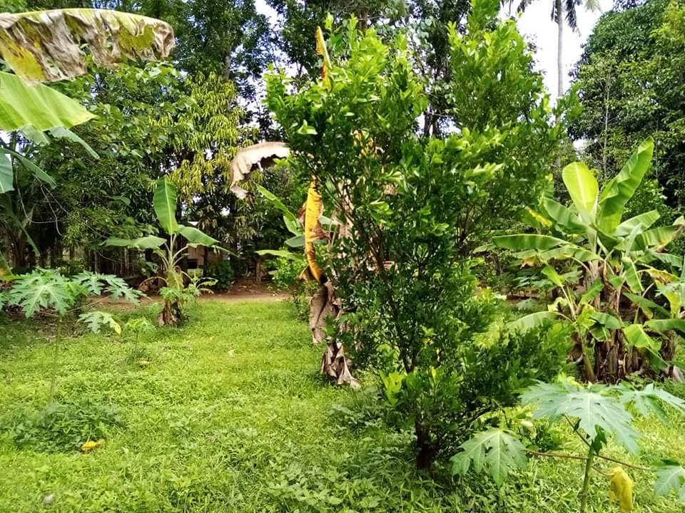 Lot for sale 400sqm & 800per sqm