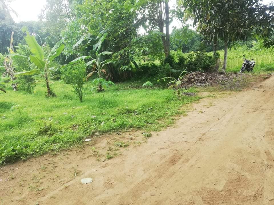 Lot for sale 400sqm & 800per sqm