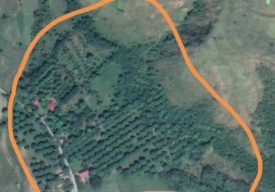 Lot-size-4.4-Hectares-Gabaldon-Area4