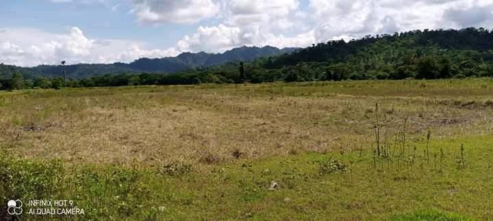 Php250k per Hectares