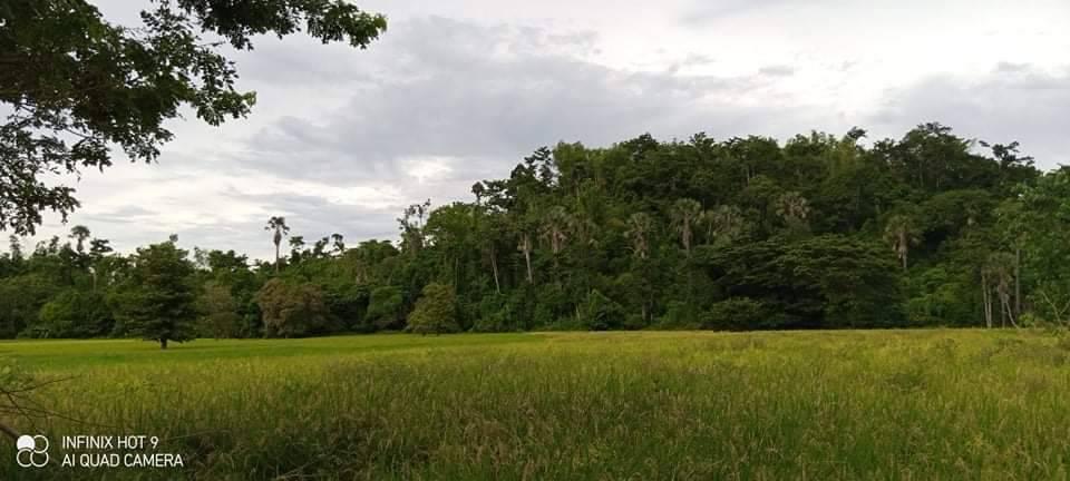 Php250k per Hectares