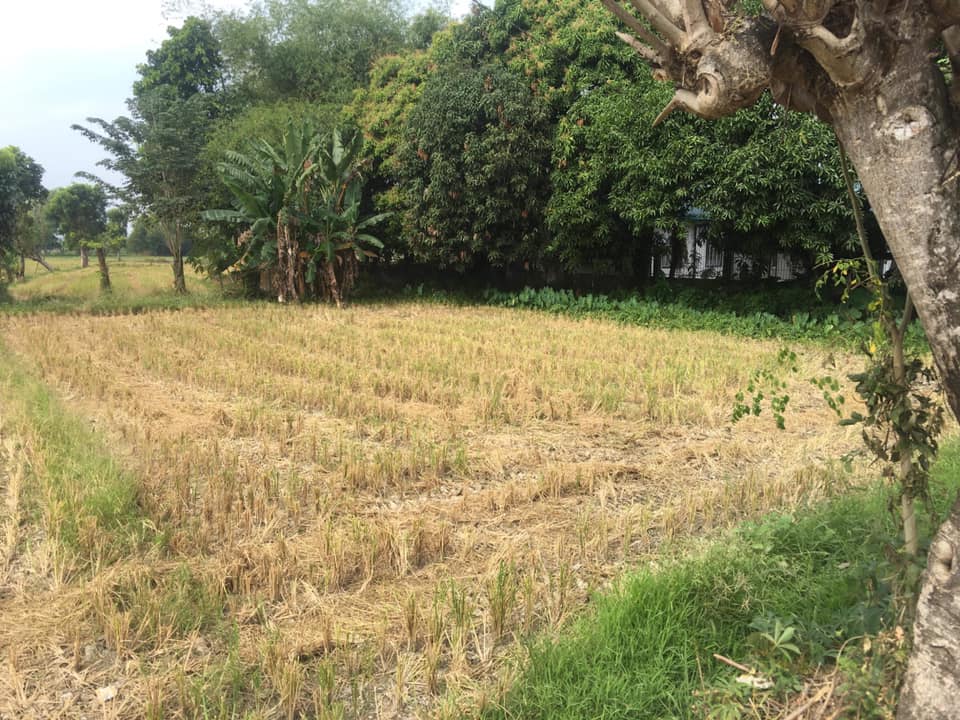 Property for Sale – Big Farm Land