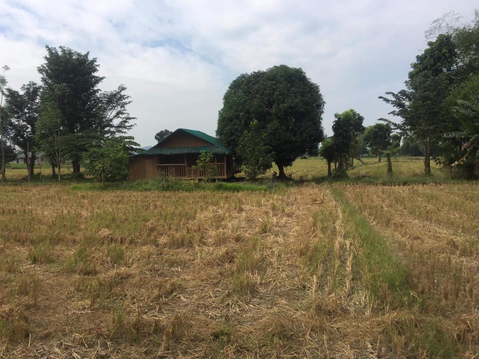 Property for Sale – Big Farm Land