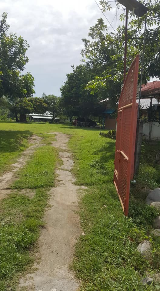 Rush! Rush! Rush! Farm lot for sale