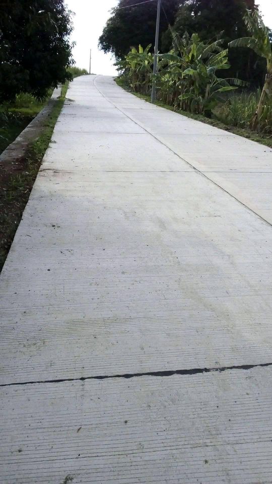 Selling 5881 SQM for sale in Calatagan Batangas