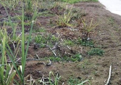 Selling-5881-SQM-for-sale-in-Calatagan-Batangas