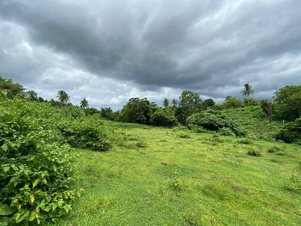 15-20 mins drive from Twin Lakes/Tagaytay