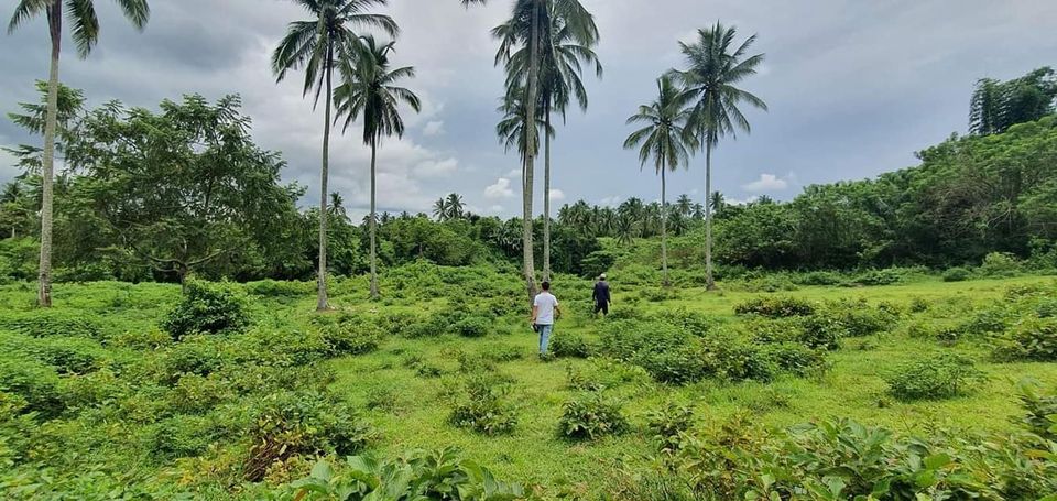 15-20 mins drive from Twin Lakes/Tagaytay