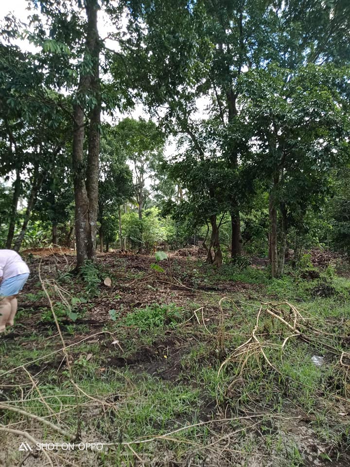 FARMLOT/Residential LOT