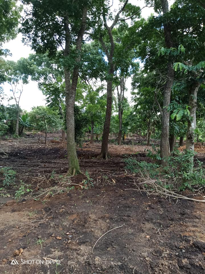 FARMLOT/Residential LOT