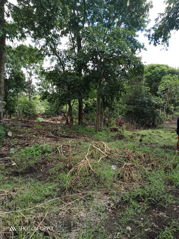 FARMLOT/Residential LOT