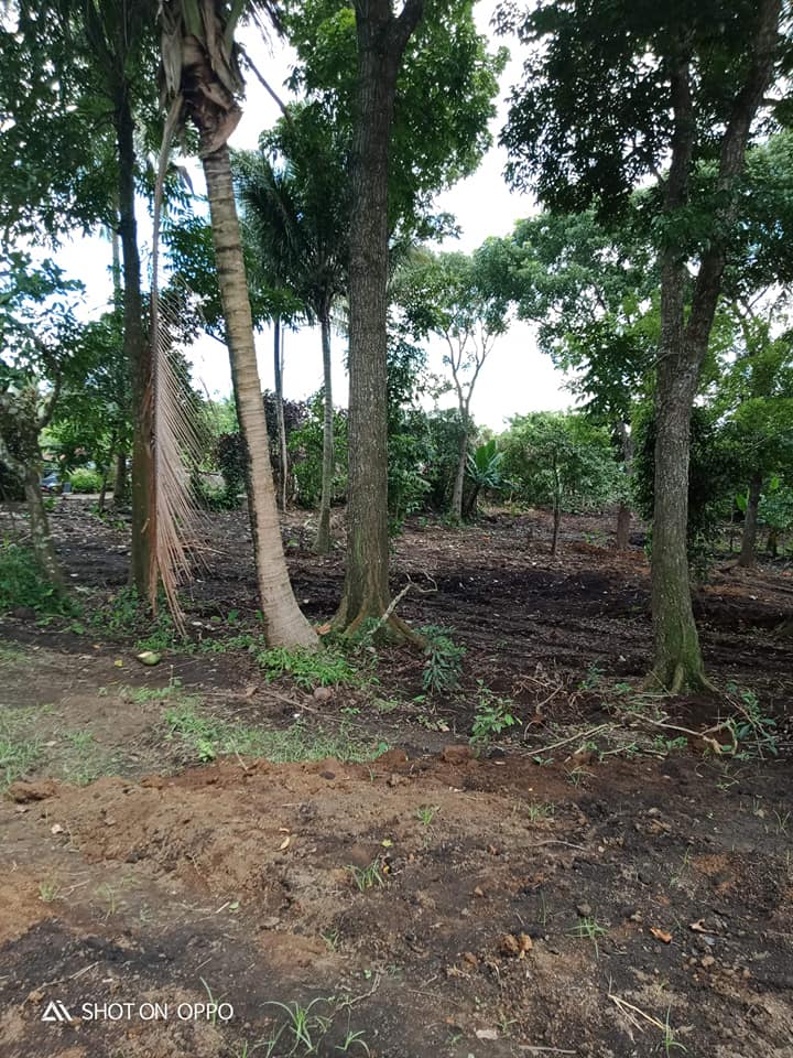 FARMLOT/Residential LOT