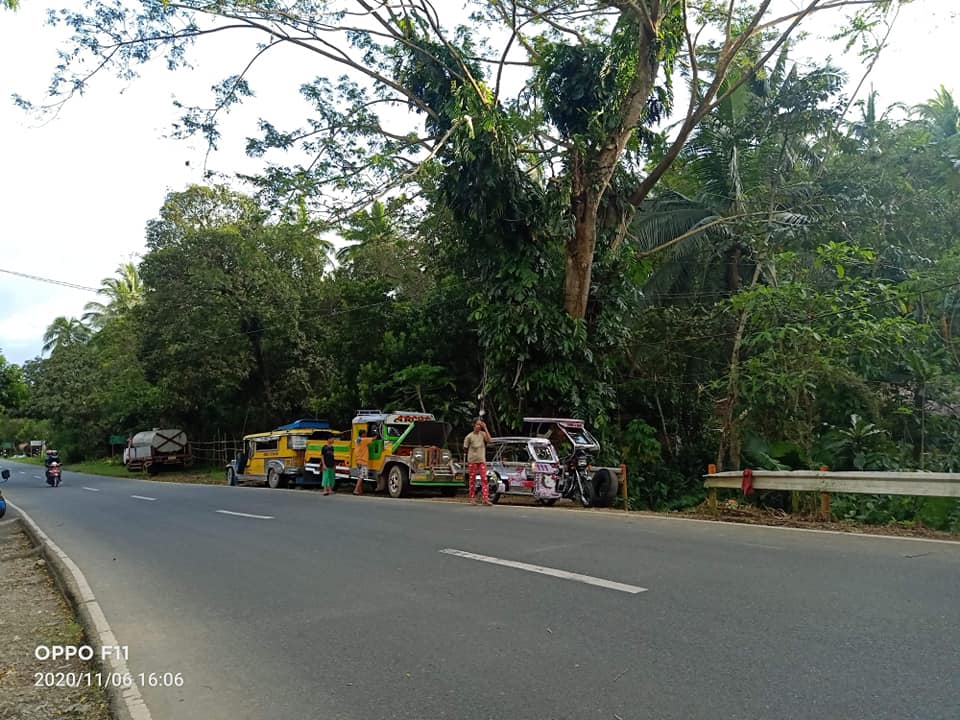 Farm Lot, Sacrificial Sale