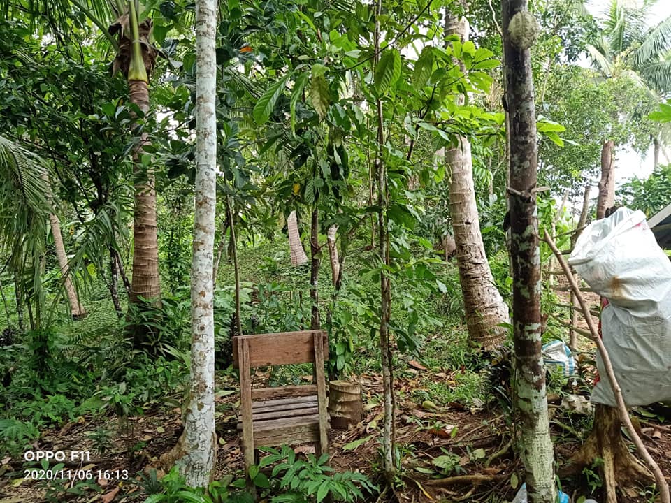 Farm Lot, Sacrificial Sale