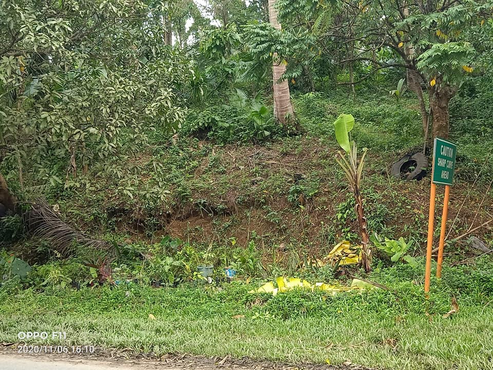 Farm Lot, Sacrificial Sale