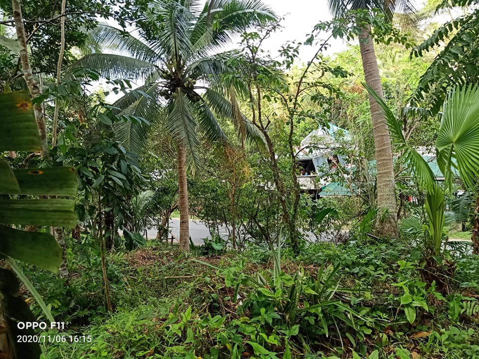 Farm Lot, Sacrificial Sale