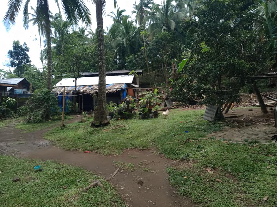 Farm lot for sale 5635 square meter