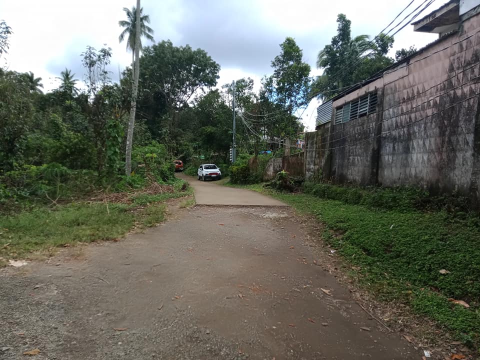 Farm lot for sale 5635 square meter