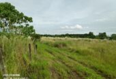 23.8 Hectares Poultry, Piggery Farm Lot for Sale