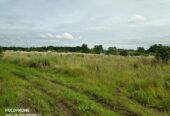 23.8 Hectares Poultry, Piggery Farm Lot for Sale