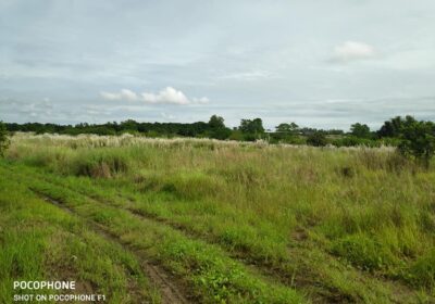 23.8-Hectares-Poultry-Piggery-Farm-Lot-for-Sale-2