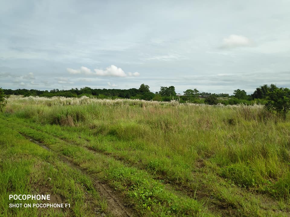 23.8 Hectares Poultry, Piggery Farm Lot for Sale