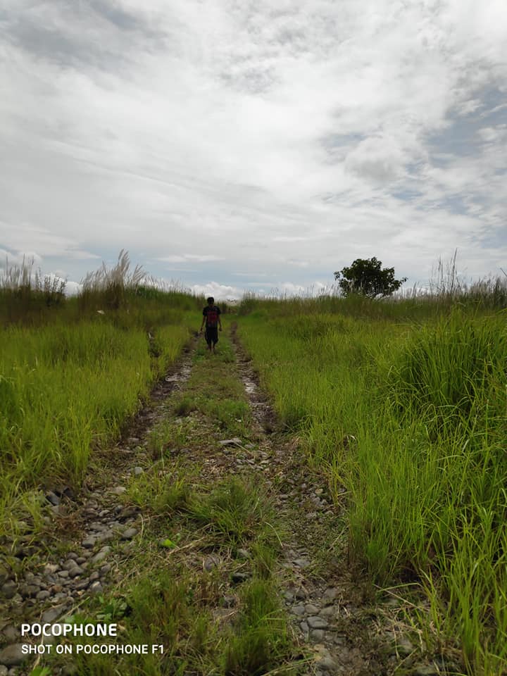 23.8 Hectares Poultry, Piggery Farm Lot for Sale