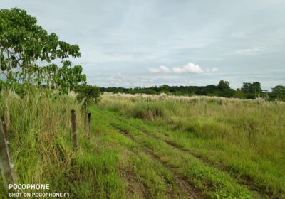 23.8-Hectares-Poultry-Piggery-Farm-Lot-for-Sale