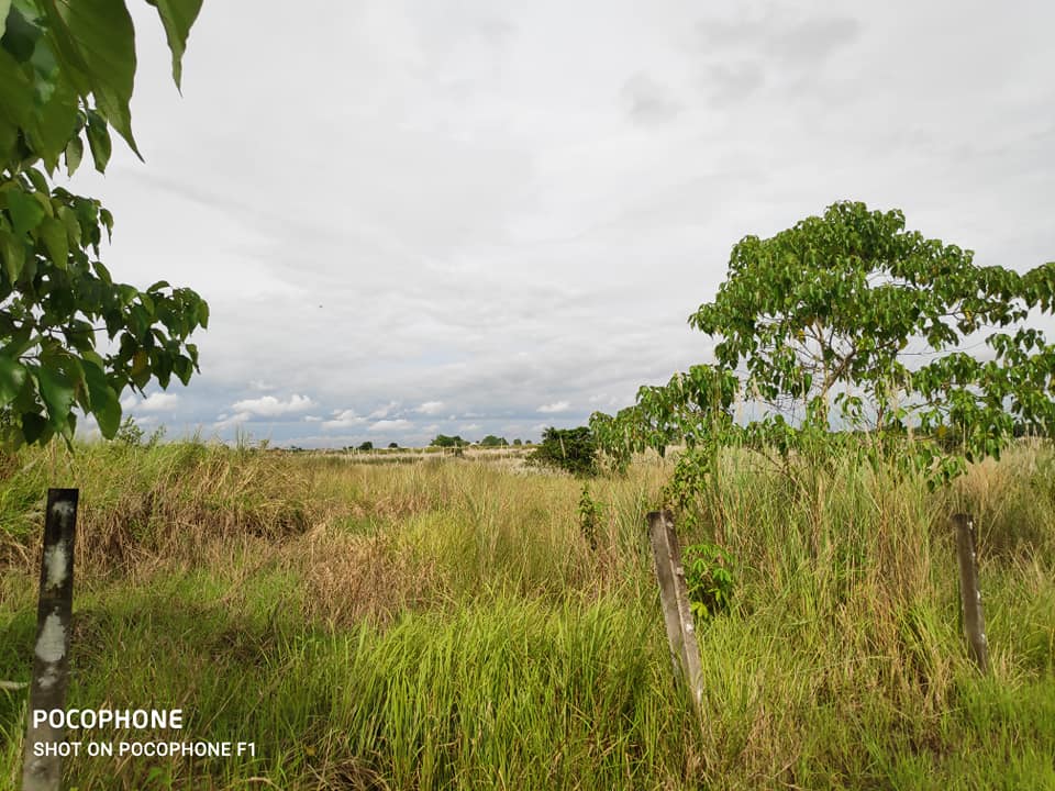 23.8 Hectares Poultry, Piggery Farm Lot for Sale