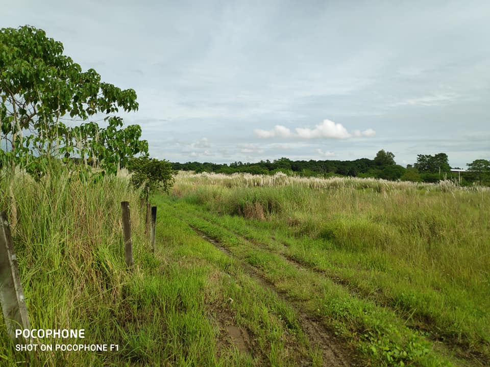 23.8 Hectares Poultry, Piggery Farm Lot for Sale