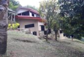 Selling Farm with Rest house clean title