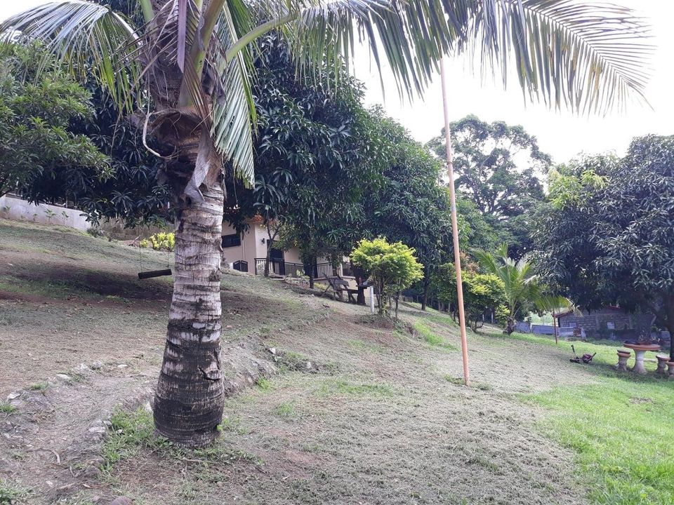 Selling Farm with Rest house clean title