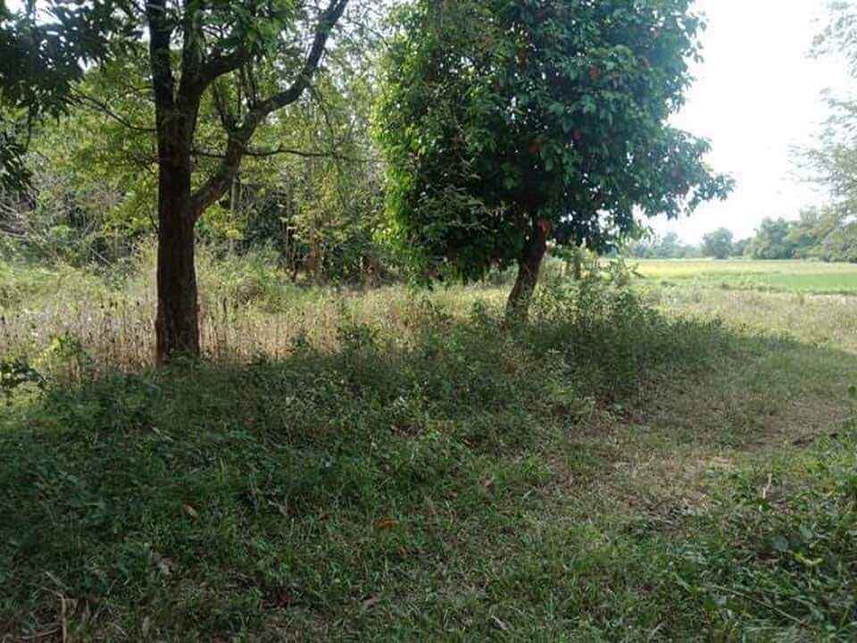 Farm Land for Sale