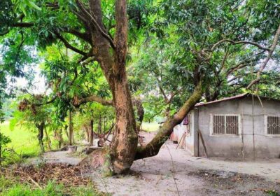 Farm-Lot-near-NATIONAL-HIGHWAY-for-sale